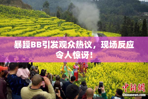 暴躁BB引发观众热议，现场反应令人惊讶！