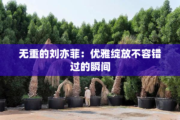 无重的刘亦菲：优雅绽放不容错过的瞬间