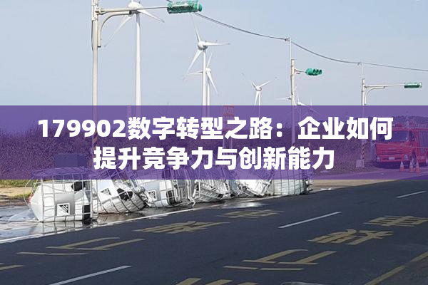 179902数字转型之路：企业如何提升竞争力与创新能力