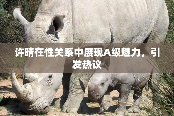 许晴在性关系中展现A级魅力，引发热议