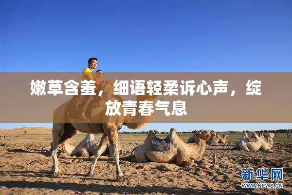 嫩草含羞，细语轻柔诉心声，绽放青春气息