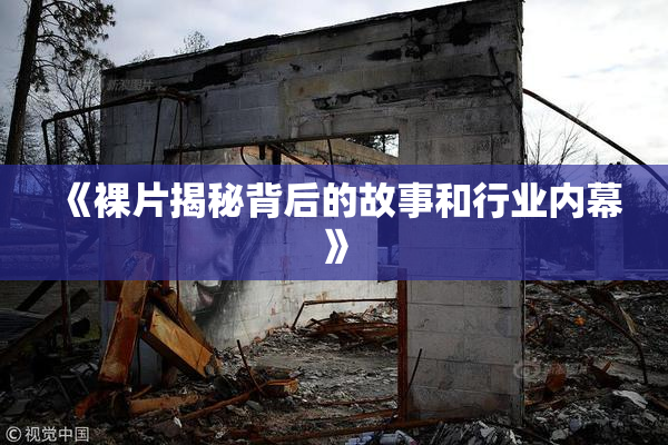 《裸片揭秘背后的故事和行业内幕》