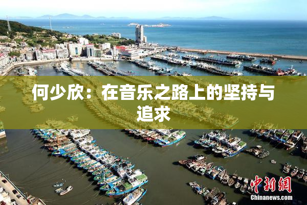 何少欣：在音乐之路上的坚持与追求