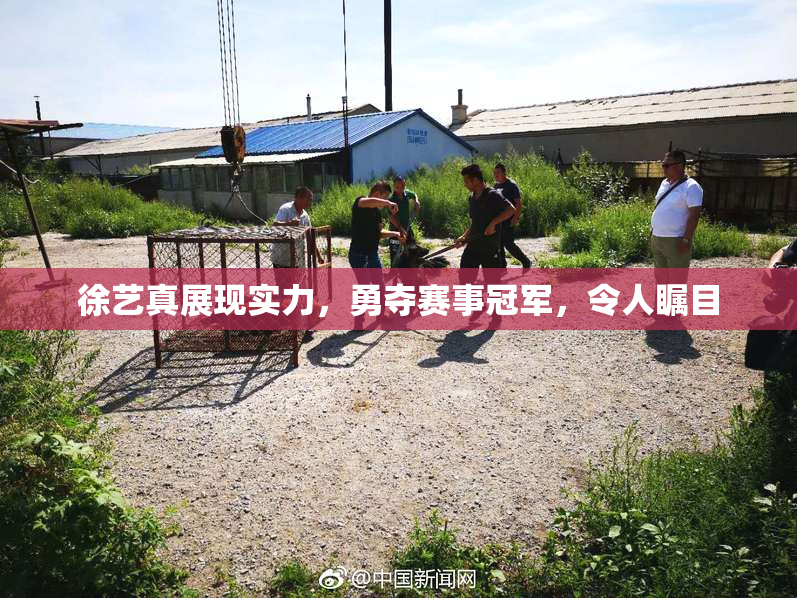 徐艺真展现实力，勇夺赛事冠军，令人瞩目