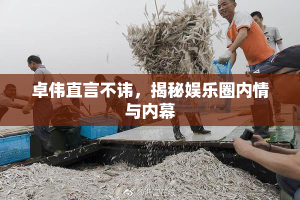 卓伟直言不讳，揭秘娱乐圈内情与内幕