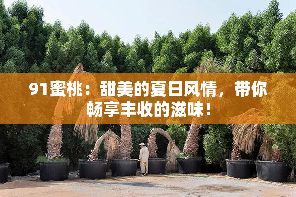 91蜜桃：甜美的夏日风情，带你畅享丰收的滋味！