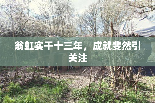 翁虹实干十三年，成就斐然引关注