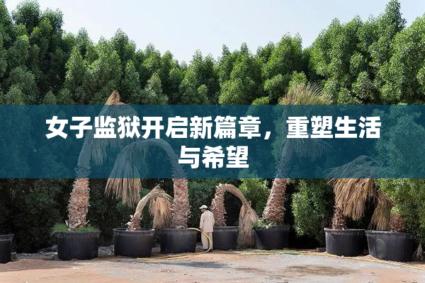 女子监狱开启新篇章，重塑生活与希望