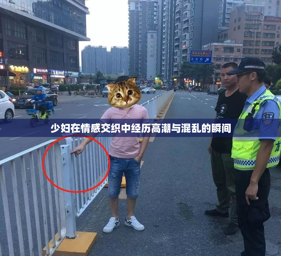 少妇在情感交织中经历高潮与混乱的瞬间