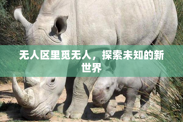 无人区里觅无人，探索未知的新世界
