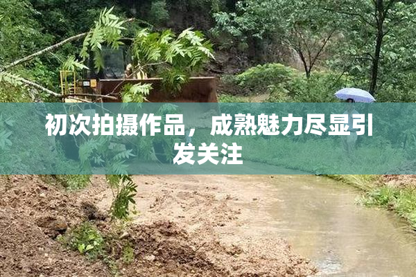 初次拍摄作品，成熟魅力尽显引发关注