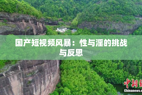 国产短视频风暴：性与淫的挑战与反思