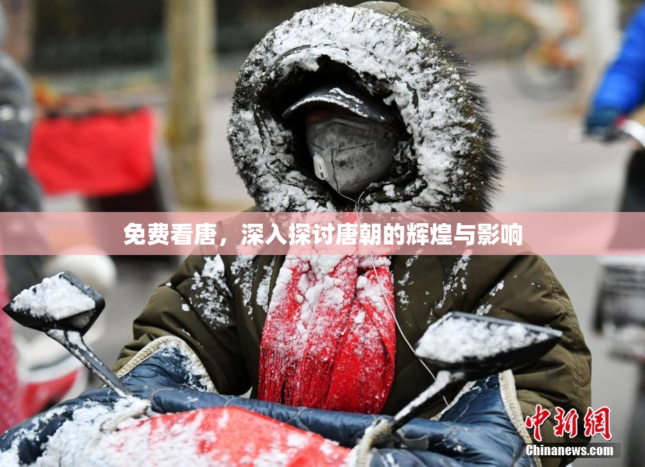 免费看唐，深入探讨唐朝的辉煌与影响