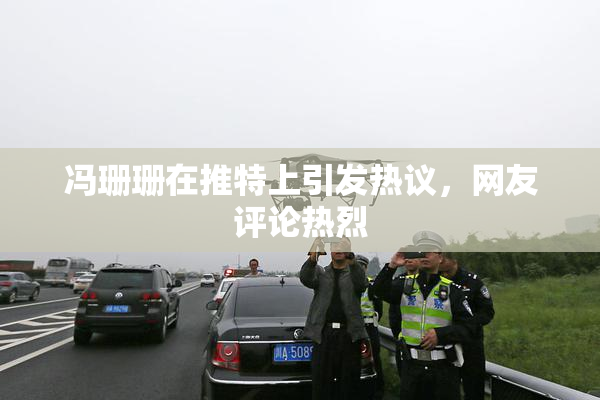 冯珊珊在推特上引发热议，网友评论热烈