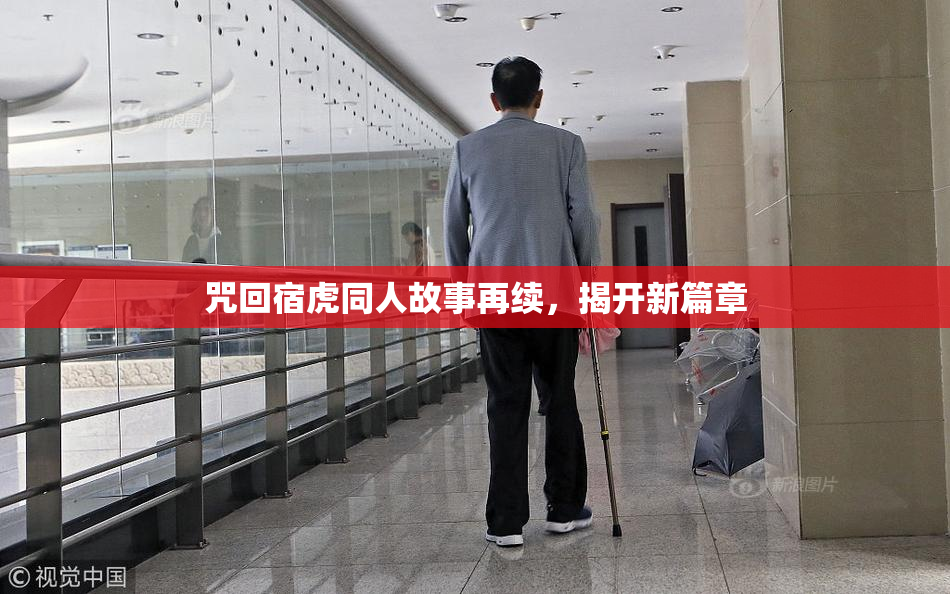 咒回宿虎同人故事再续，揭开新篇章