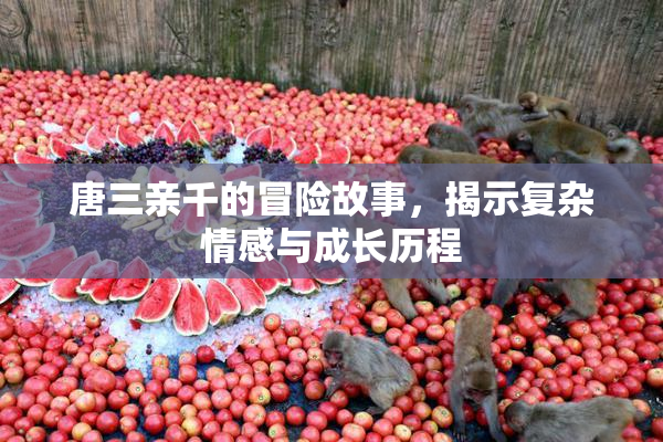 唐三亲千的冒险故事，揭示复杂情感与成长历程