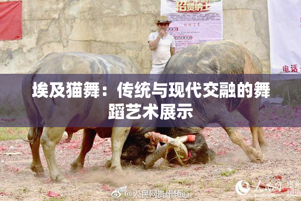 埃及猫舞：传统与现代交融的舞蹈艺术展示