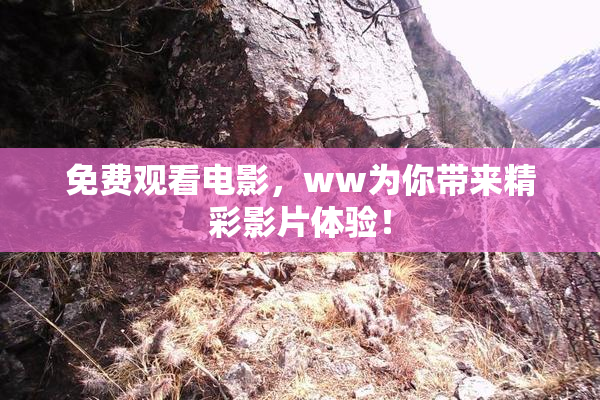 免费观看电影，ww为你带来精彩影片体验！