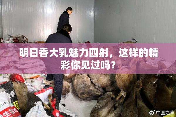 明日香大乳魅力四射，这样的精彩你见过吗？