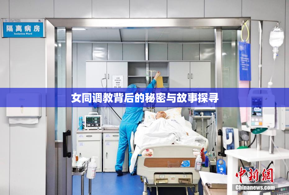 女同调教背后的秘密与故事探寻