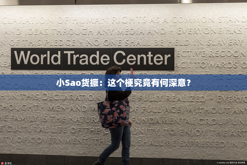 小Sao货撅：这个梗究竟有何深意？
