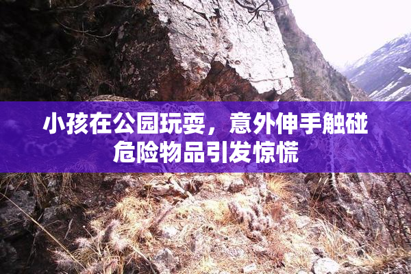 小孩在公园玩耍，意外伸手触碰危险物品引发惊慌