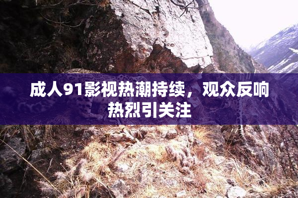 成人91影视热潮持续，观众反响热烈引关注