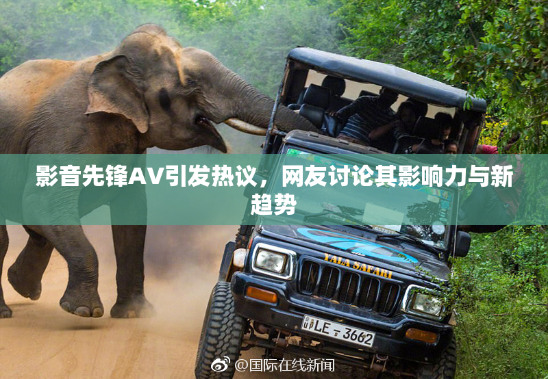 影音先锋AV引发热议，网友讨论其影响力与新趋势