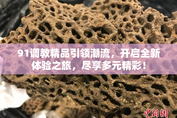 91调教精品引领潮流，开启全新体验之旅，尽享多元精彩！
