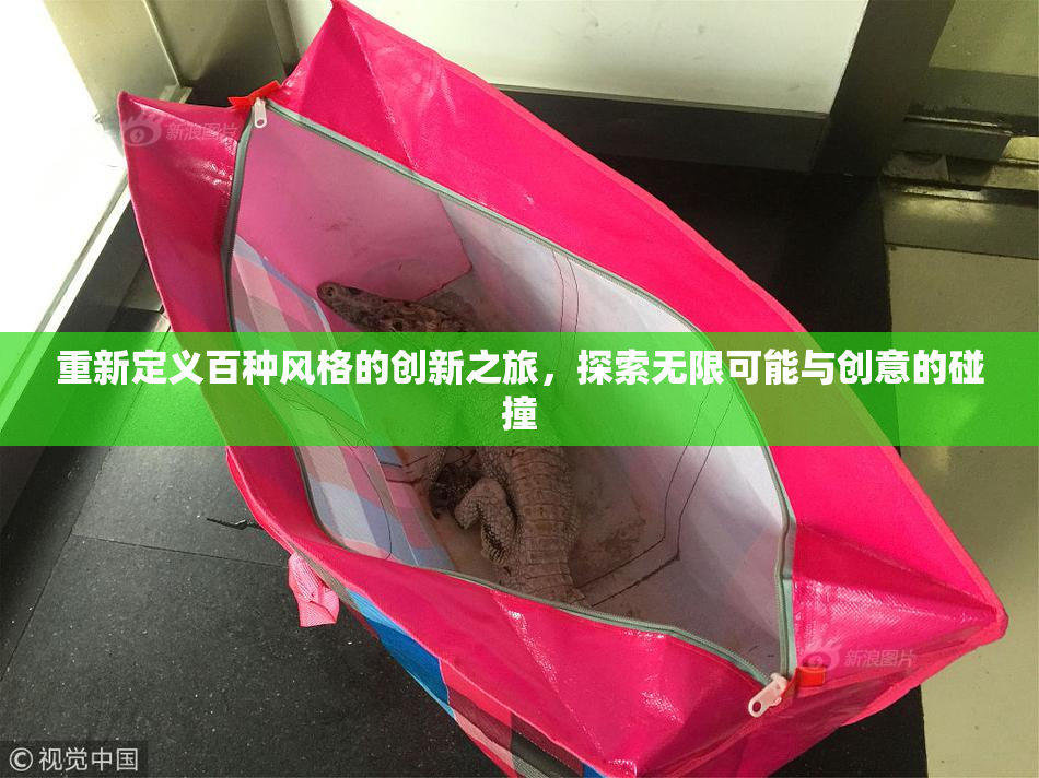 重新定义百种风格的创新之旅，探索无限可能与创意的碰撞