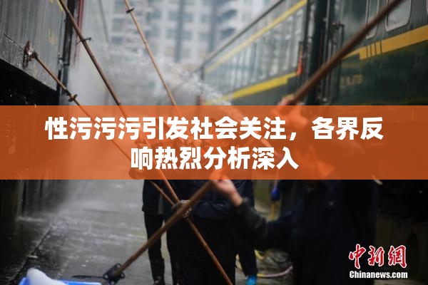 性污污污引发社会关注，各界反响热烈分析深入