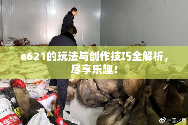 e621的玩法与创作技巧全解析，尽享乐趣！