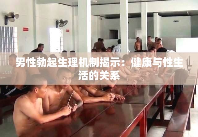 男性勃起生理机制揭示：健康与性生活的关系