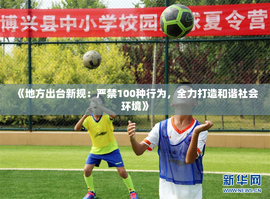 《地方出台新规：严禁100种行为，全力打造和谐社会环境》