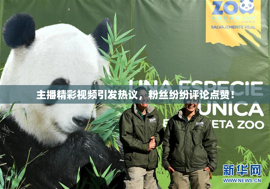 主播精彩视频引发热议，粉丝纷纷评论点赞！