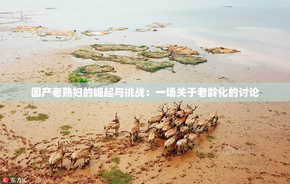 国产老熟妇的崛起与挑战：一场关于老龄化的讨论