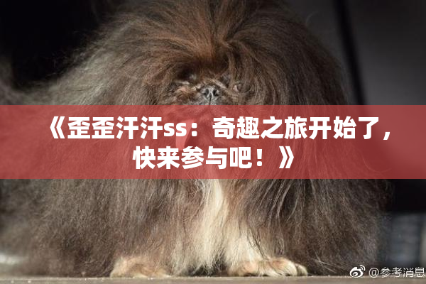 《歪歪汗汗ss：奇趣之旅开始了，快来参与吧！》