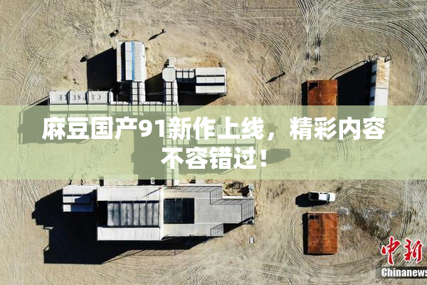 麻豆国产91新作上线，精彩内容不容错过！