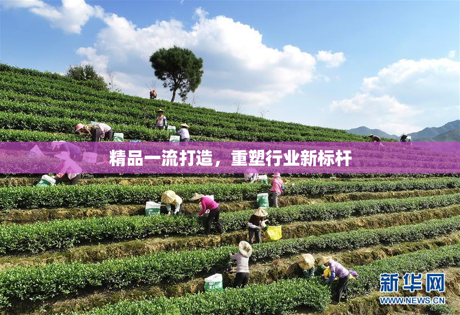 精品一流打造，重塑行业新标杆