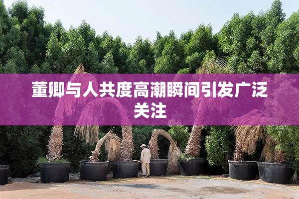 董卿与人共度高潮瞬间引发广泛关注