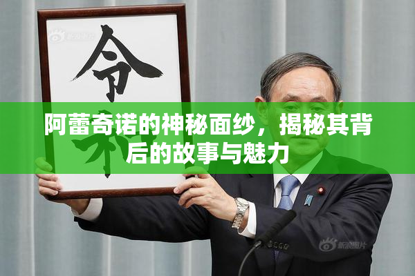 阿蕾奇诺的神秘面纱，揭秘其背后的故事与魅力