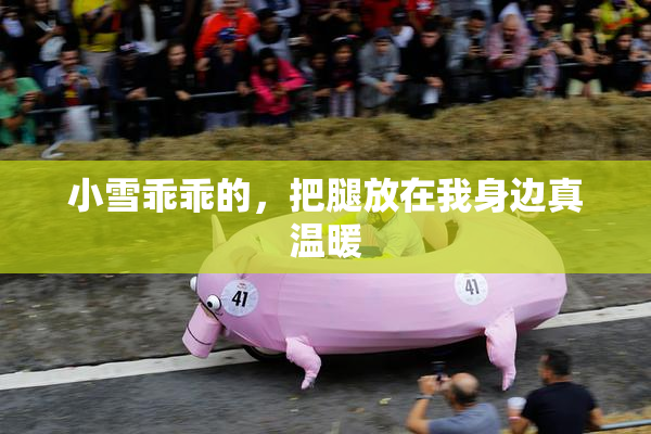 小雪乖乖的，把腿放在我身边真温暖