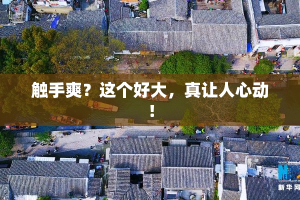 触手爽？这个好大，真让人心动！