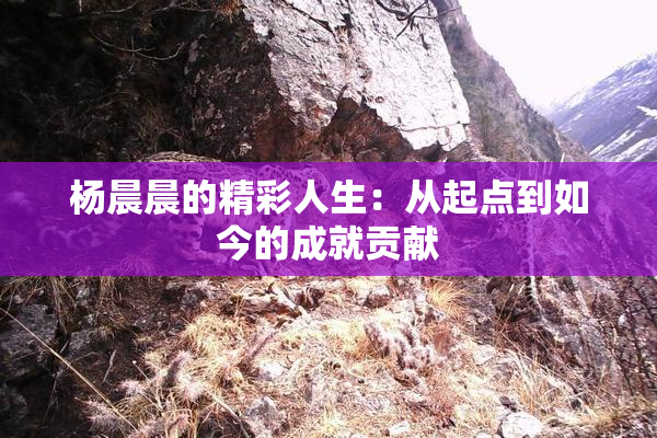 杨晨晨的精彩人生：从起点到如今的成就贡献