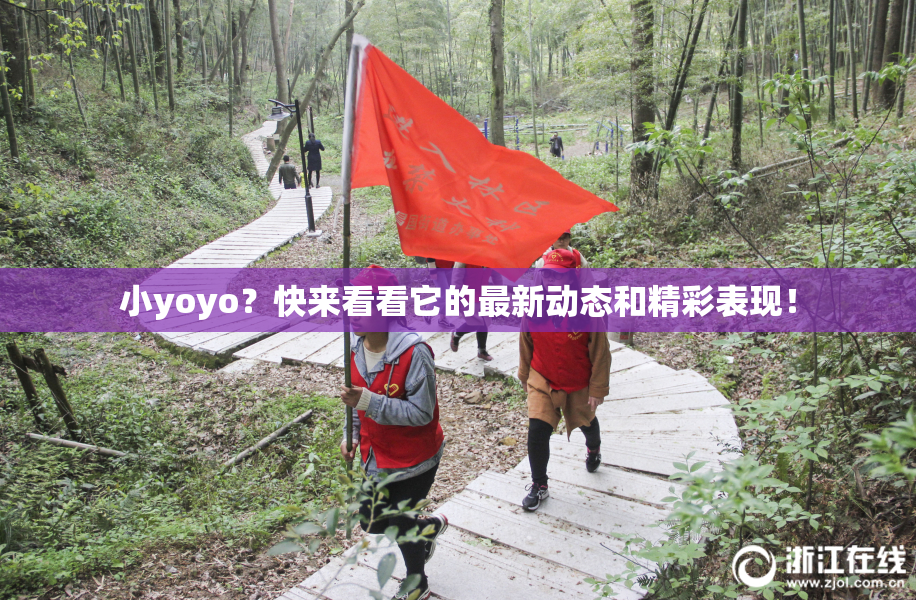 小yoyo？快来看看它的最新动态和精彩表现！