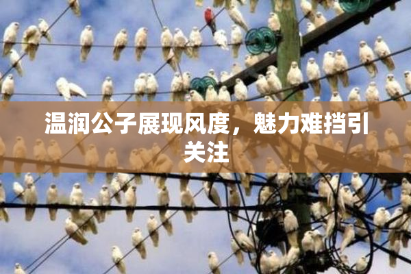 温润公子展现风度，魅力难挡引关注