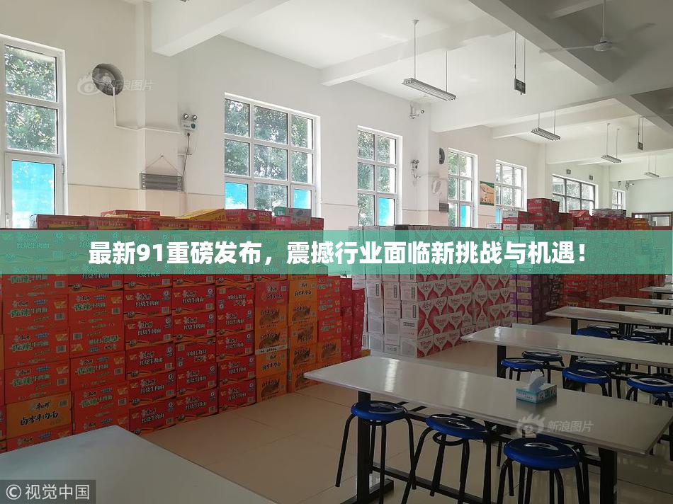 最新91重磅发布，震撼行业面临新挑战与机遇！