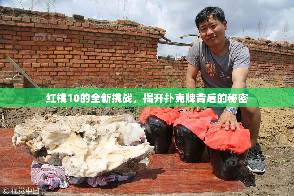 红桃10的全新挑战，揭开扑克牌背后的秘密