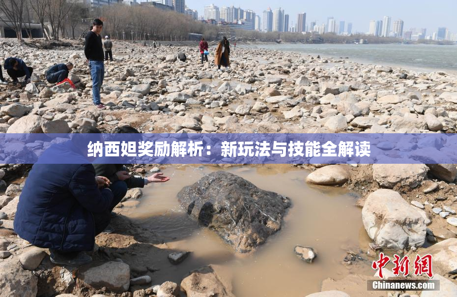 纳西妲奖励解析：新玩法与技能全解读
