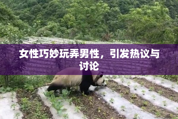 女性巧妙玩弄男性，引发热议与讨论